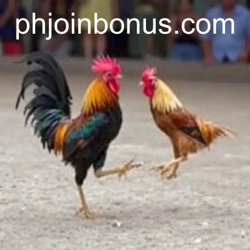 The Evolution of Sabong Games: Tradition Meets Technology